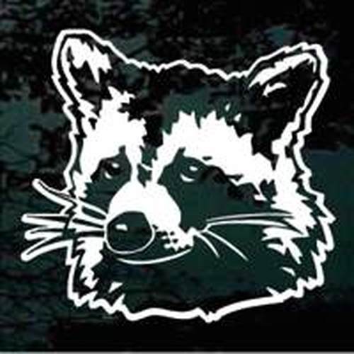 Realistic Raccoon Head Vinyl Decal Sticker