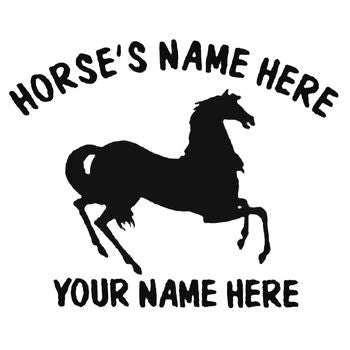 Arabian Horse Style 2 Vinyl Decal Sticker