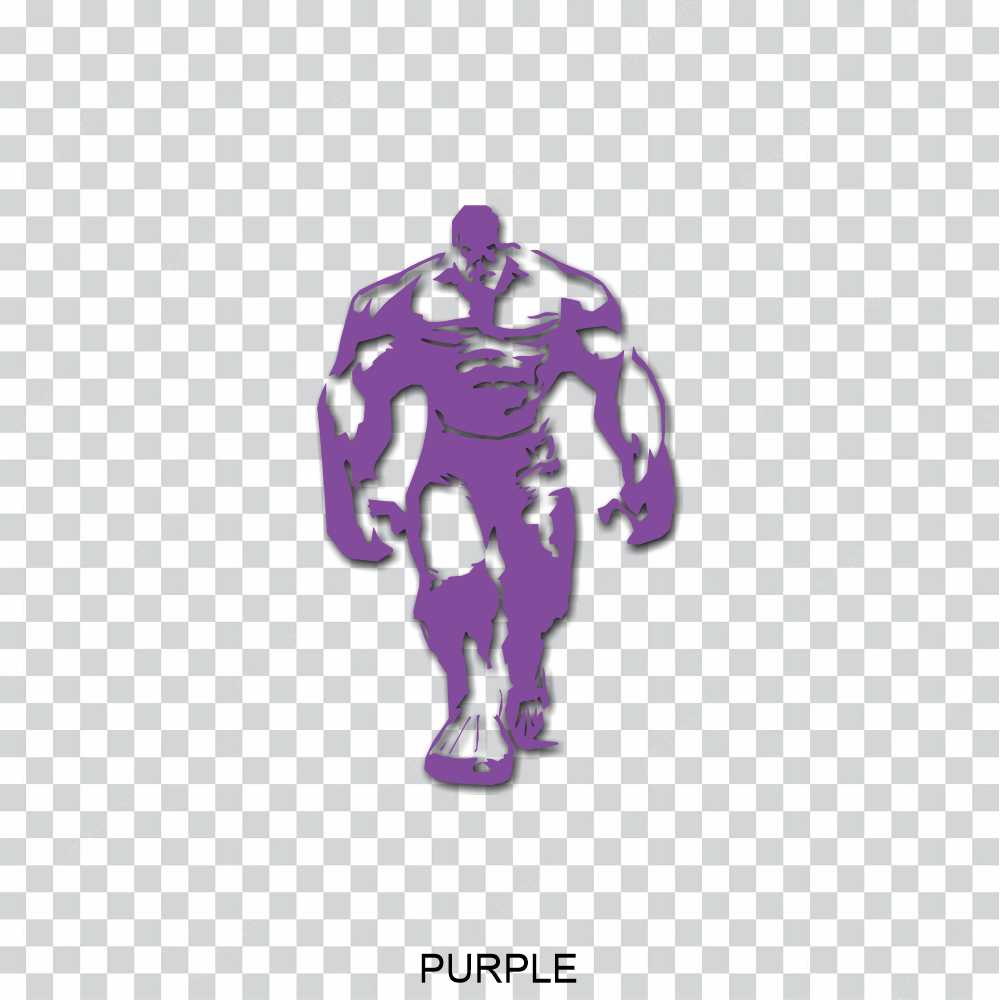 Avengers Incredible Hulk Vinyl Decal Sticker - Image 16