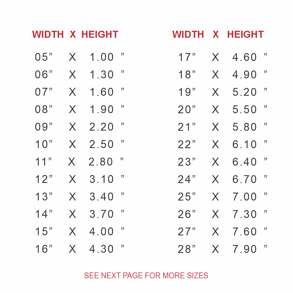 Dodge Challenger Script Windshield Banner Decal Sticker - Image 3