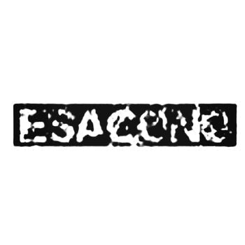 Esagono Band Vinyl Decal Sticker