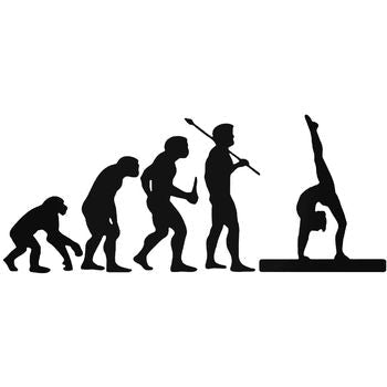 Evolution s Gymnastics Evolution Vinyl Decal Sticker