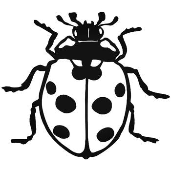 Lady Bug 5 Vinyl Decal Sticker