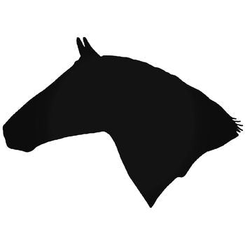 Lipizzan Horse Vinyl Decal Sticker