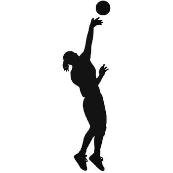 Volleyball 1 Vinyl Decal Sticker