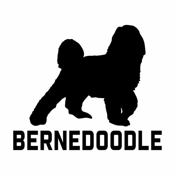 bernedoodle car dog for windows vinyl decal sticker