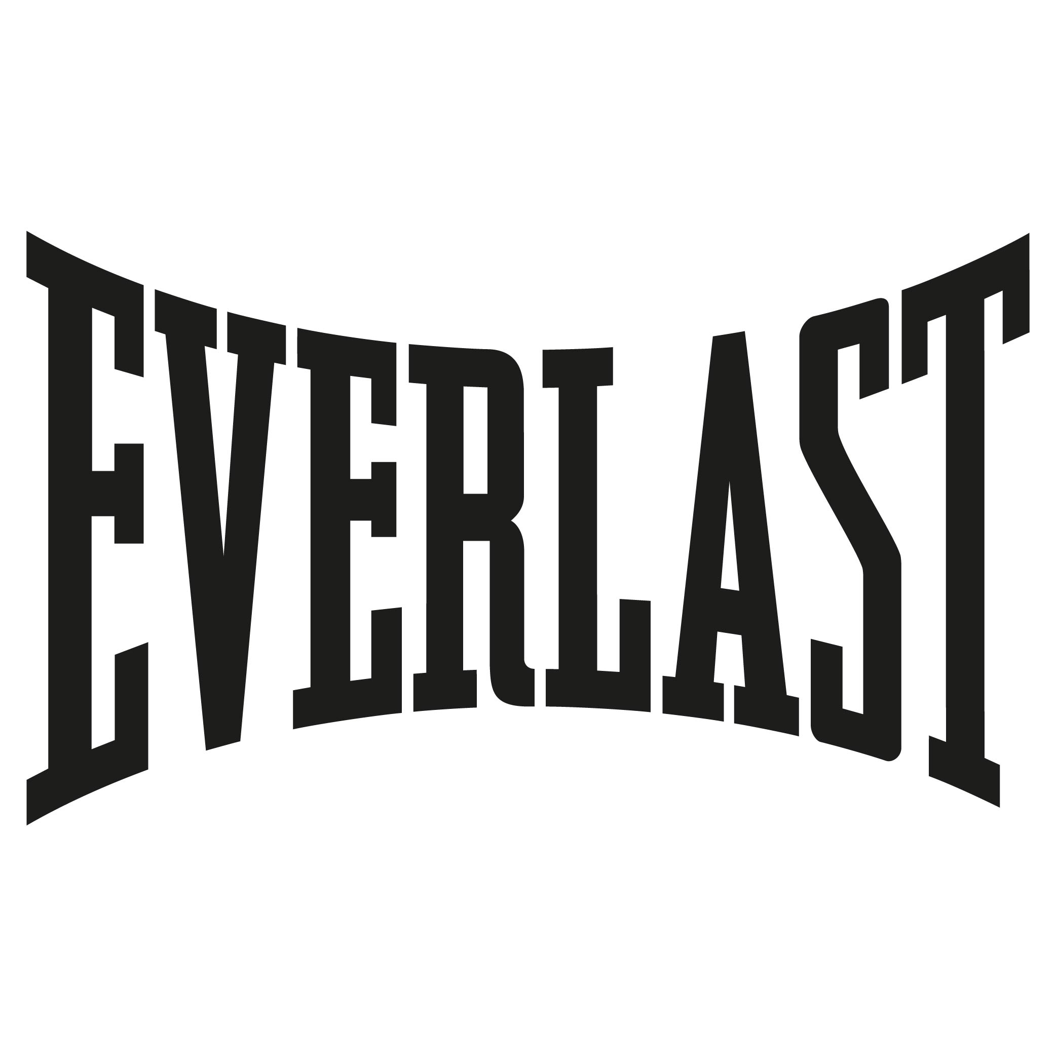 everlast boxing logo vinyl decal sticker